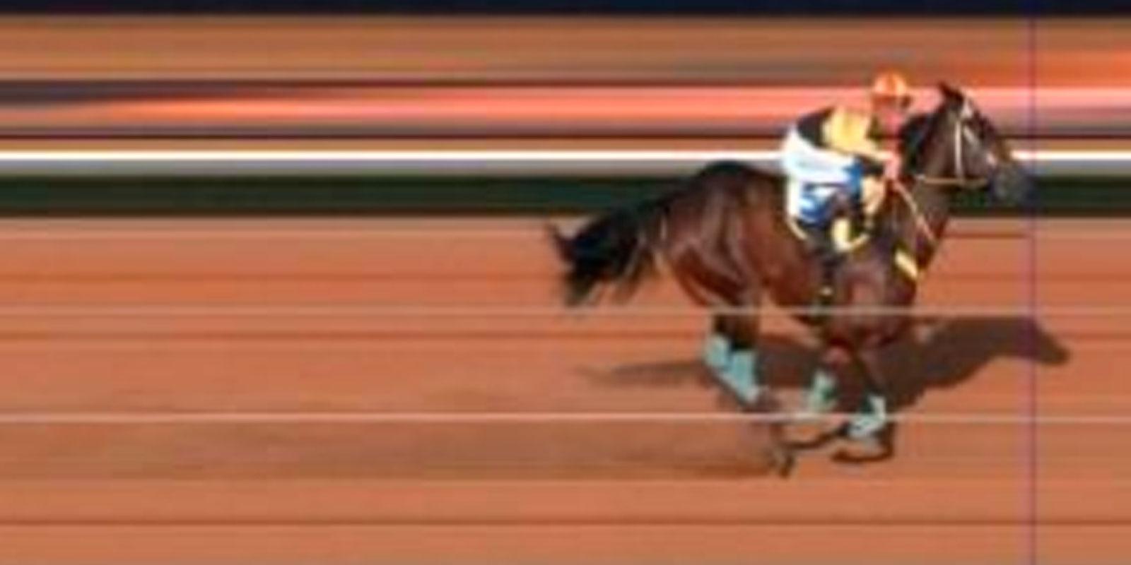 Criação de Marcelo Jorge é imbatível na final do GP Libertadores da América no Jockey Club de Bela Vista